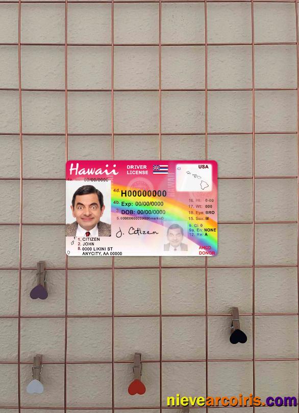 Hawaii driving license photolook